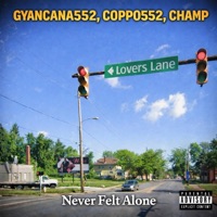 Never Felt Alone - Single