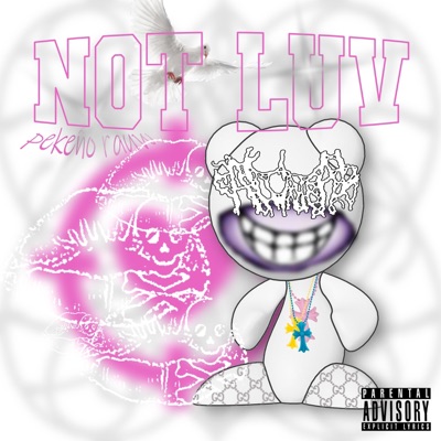 NOT LUV - Single