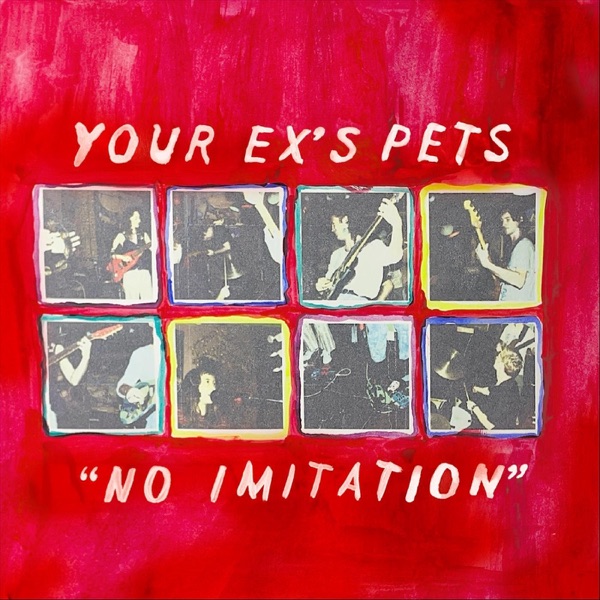 Your Ex's Pets