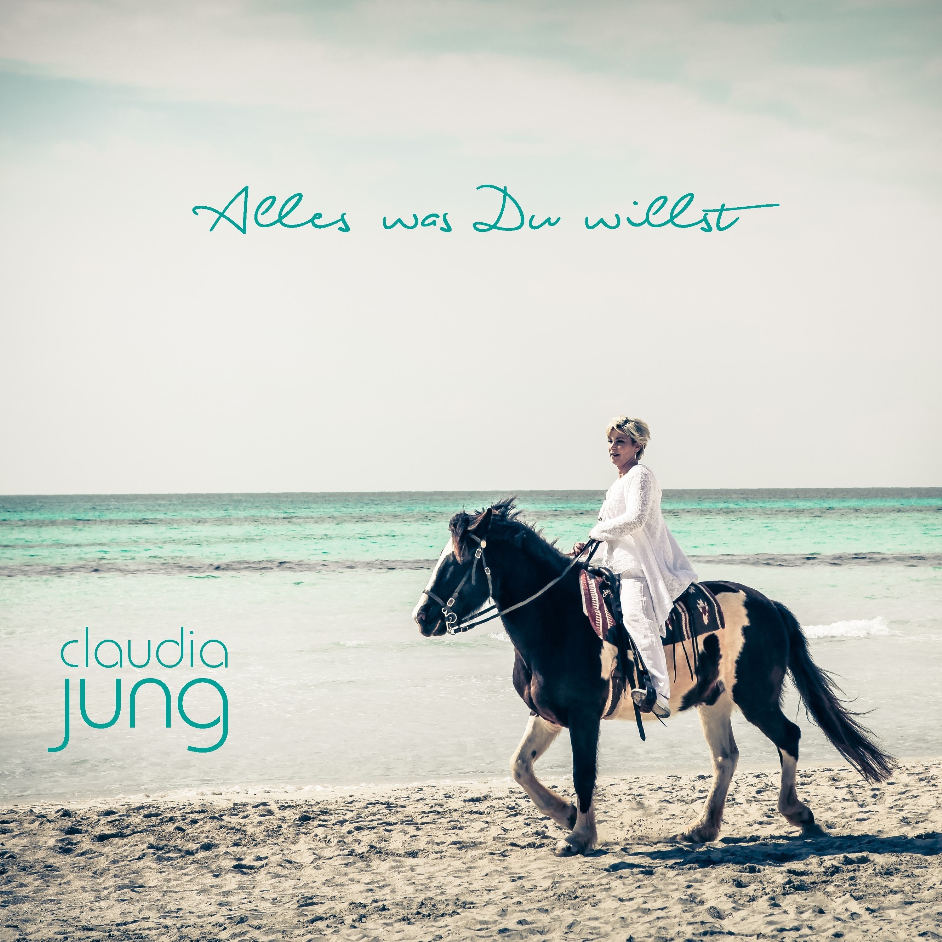 Alles was du willst - Single