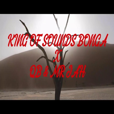 Namibia (feat. QB & Mr Jah) - Single