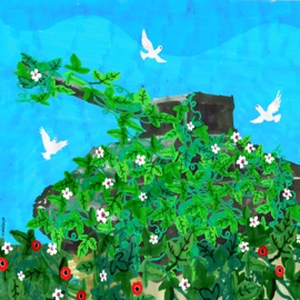 דווקא כאן Mayor & Maor