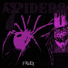 Glazer (feat. Yung Voidy & 9sanz) 7Flex