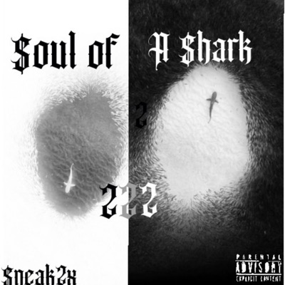 $oul Of A $hark