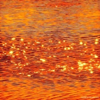 Lights Out - Single - Deezy W