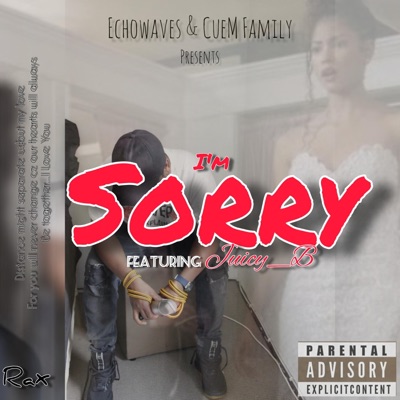 I'm Sorry (feat. Juicy_B) - Single
