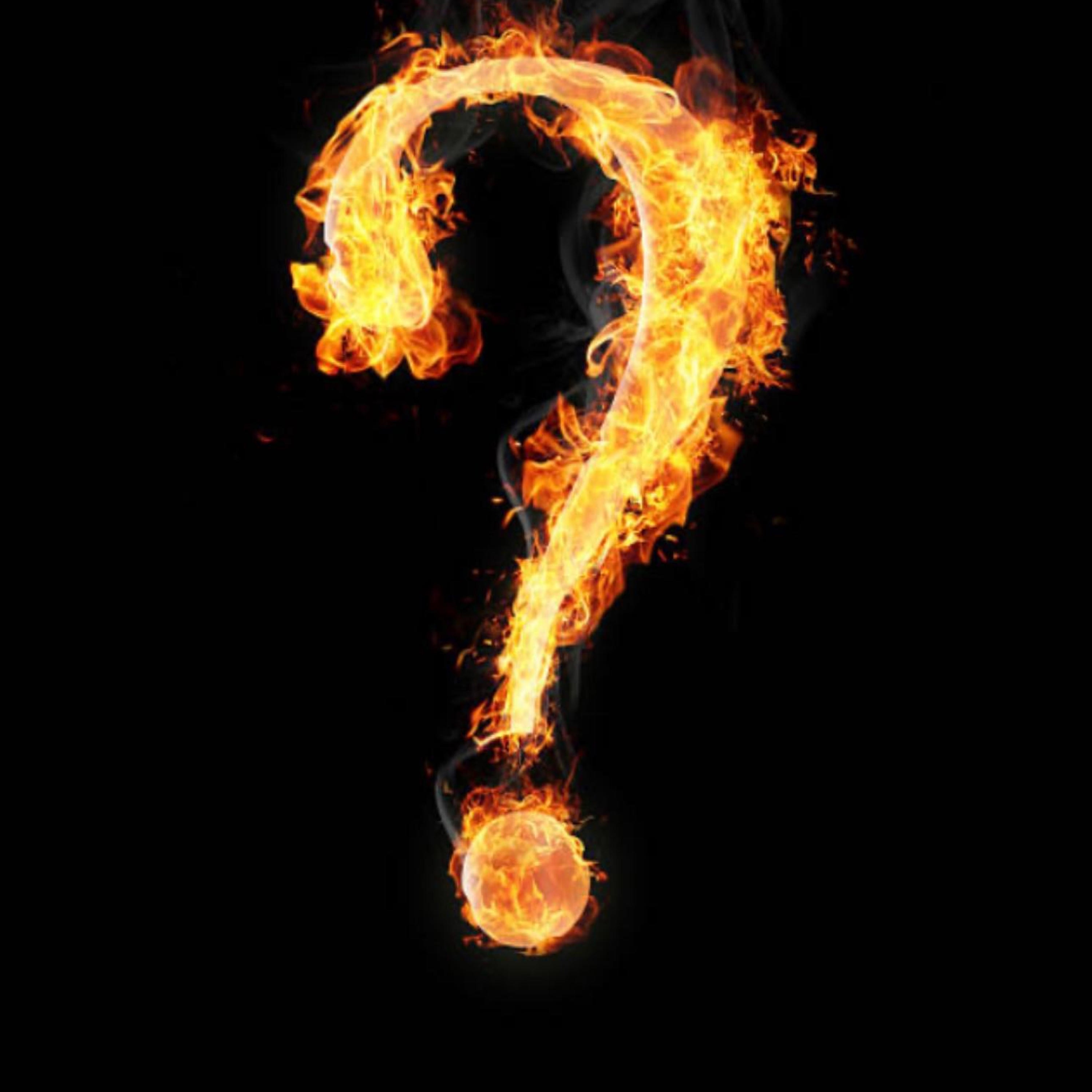 Did I Mention - Single