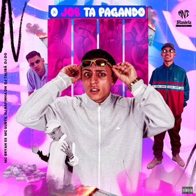 O Job Ta Pagando (feat. DJ DG & Mc Subtil) - Single