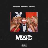 Mood (feat. Shoota Shawn & Cris Streetz) - Single - Starmade Day