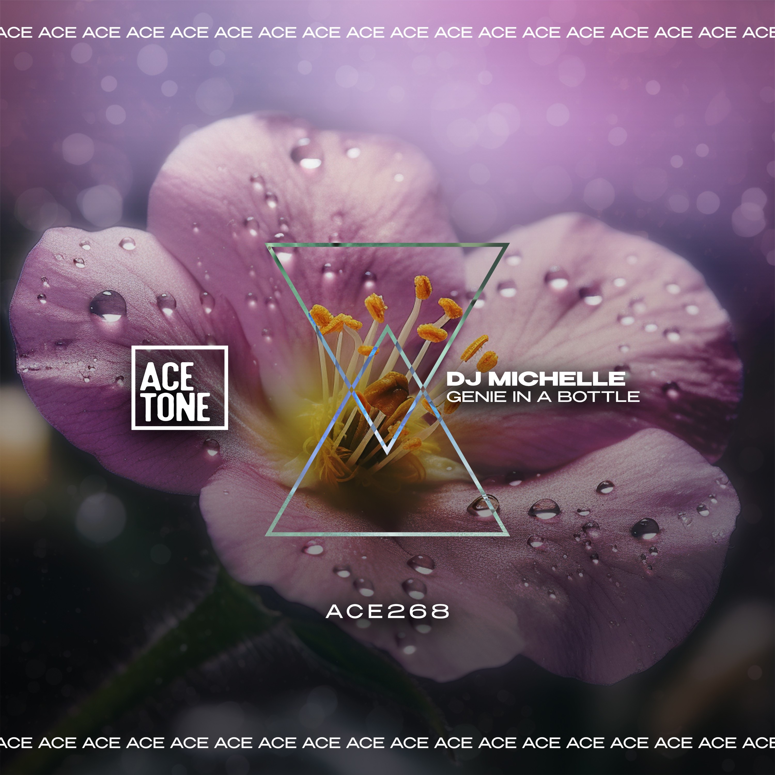 Genie in a Bottle - Single