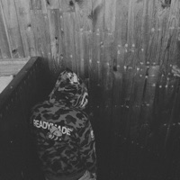 on the low - Single - N o m o o d