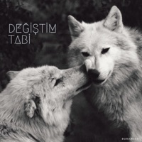 DEĞİŞTİM TABİ - Single - Boramess