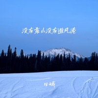 没有靠山没有避风港 - Single - 田娥