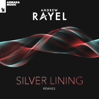 Silver Lining (Remixes) - Andrew Rayel