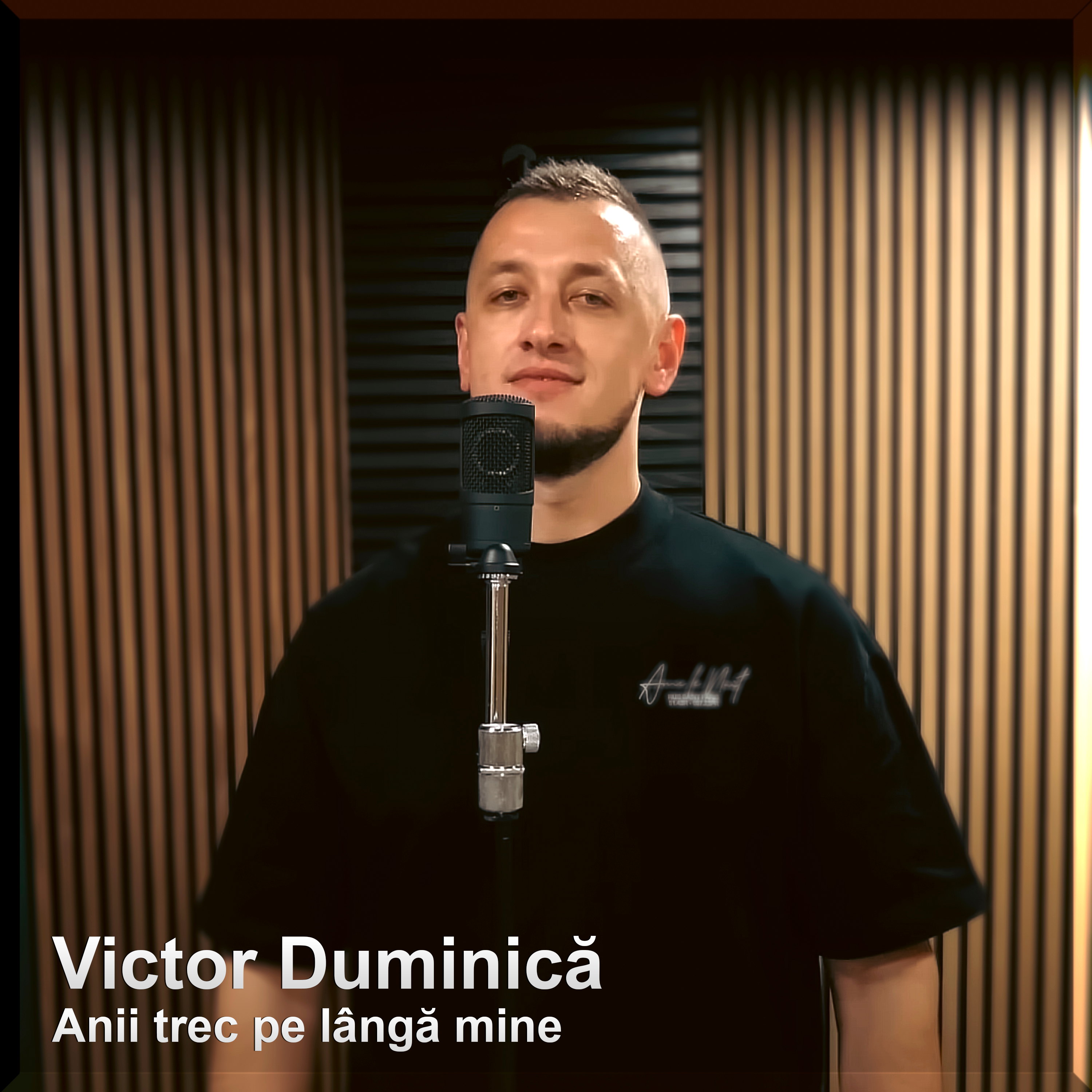 Anii trec pe lângă mine - Single