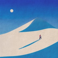 Snowflakes - Single - terrarium. & serein.