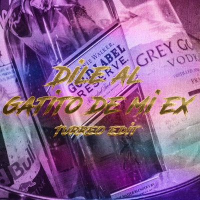 Gatito de Mi Ex (Turreo Edit) - Single