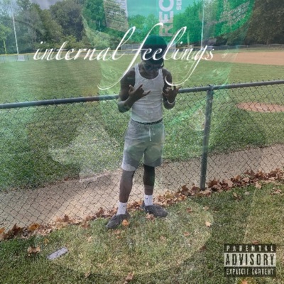 Internal Feelings - Single