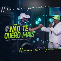 Não Te Quero Mais - Single - Guilherme Silva & Negão Chandon