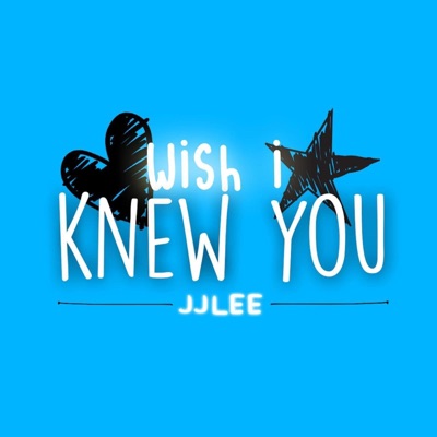 Wish I Knew You - Single