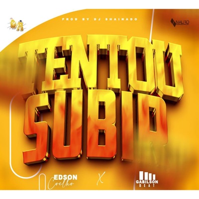 Tentou Subir (feat. Gabilson Beat & Dj Shainado) - Single