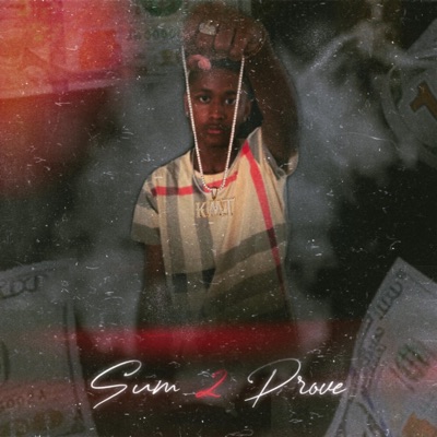 Sum 2 Prove - Single