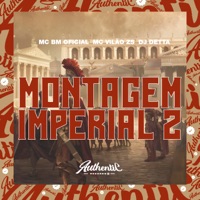 Montagem Imperial 2 (feat. MC BM OFICIAL) - Single - MC Vilão ZS & Dj Detta