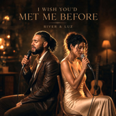 I Wish You'd Met Me Before song art
