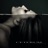Filter (feat. Dominic Cifarelli)