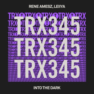 Into the Dark (Extended Mix)