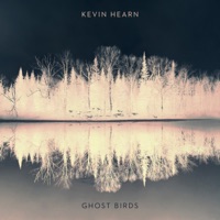 Ghost Birds (feat. Hugh Marsh & Chris Gartner) - Single - Kevin Hearn