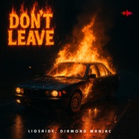 Don't Leave - Single - LIQSAIDE & Diamond Maniac