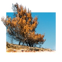 מים עמוקים - Single - Shazamat