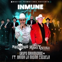 Inmune a Ti - Single - Grupo Maximizado & Banda La Misma Escuela