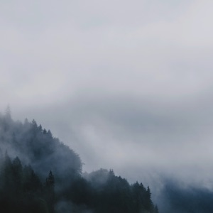 Silences - Single