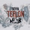 Teflon - Sevin lyrics