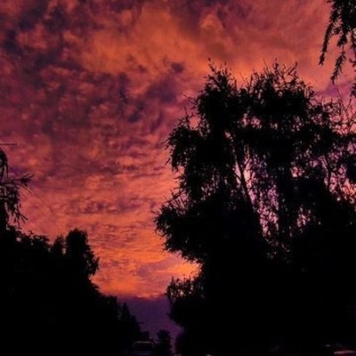 Hate To See You Go - Single