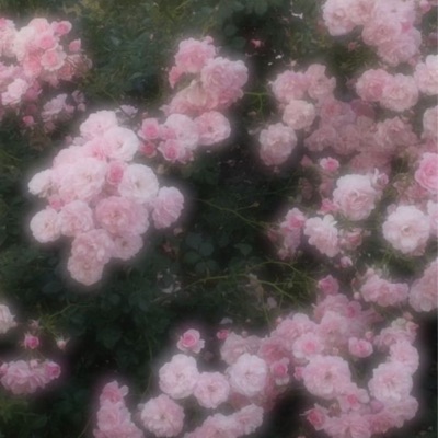 In Progress - Single