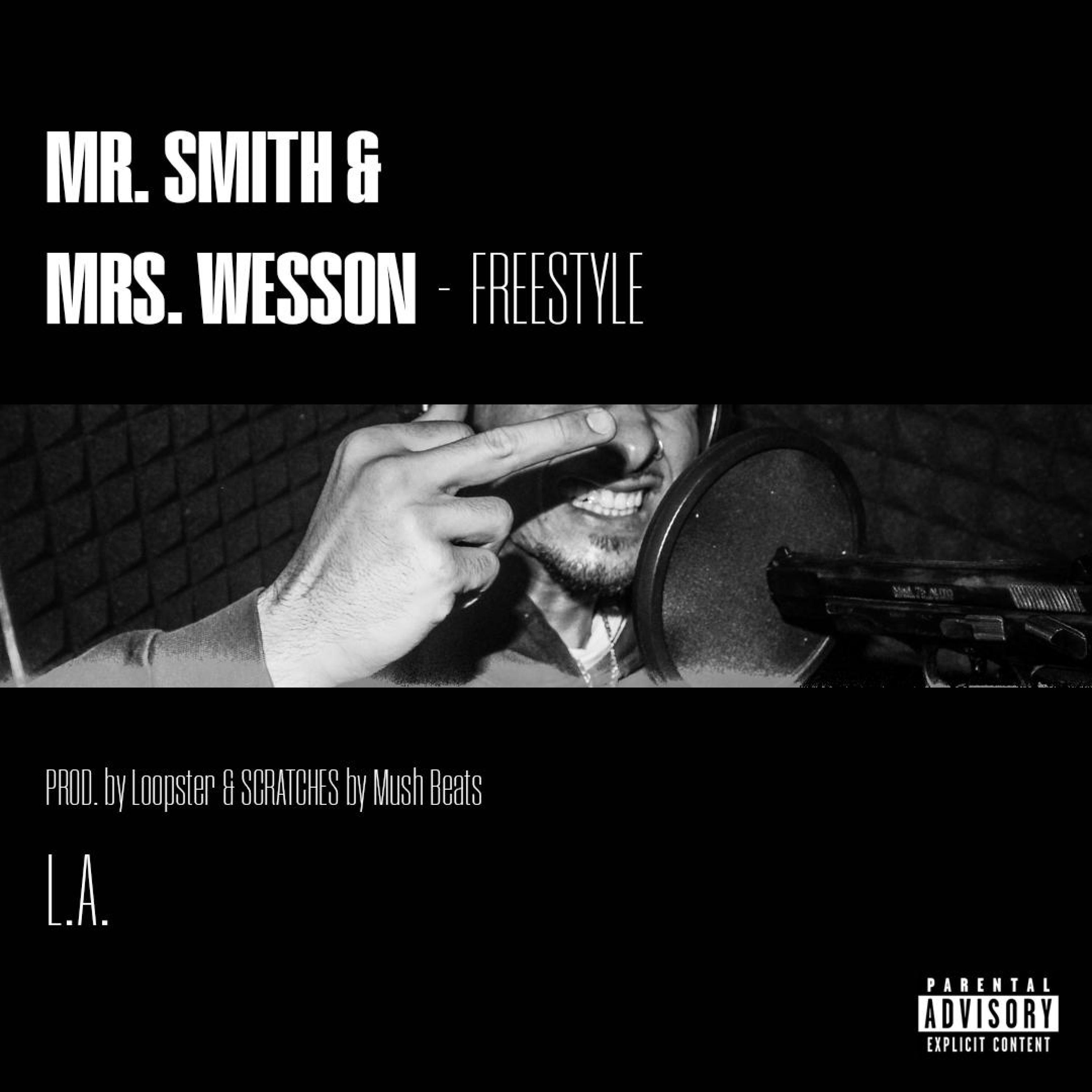 Mr Smith & Mrs Wesson - Single