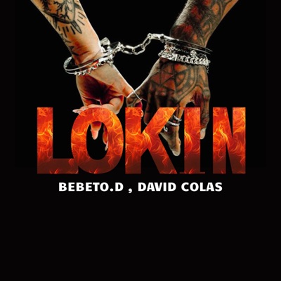 Lokin (Remix) - Single