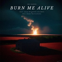 Burn Me Alive (feat. Solarus, Lucas McArthur, Battlepass & Will Grant) - Single - Eric Badder