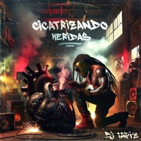 Cicatrizando heridas - Single - DJ Lapiz