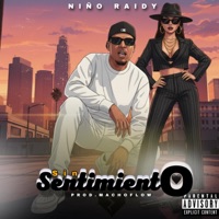 Sin Sentimiento - Single - NIÑO RAIDY