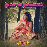 Yolanda Ivon - Mix Salay 5 (Remix)