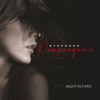 Night in Paris - Stéphane Pompougnac