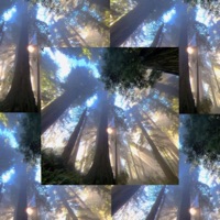 Liv moore (prods. w3dnesda) - Single - MîkäXükî