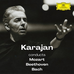 Symphony No. 32 in G Major, K. 318: III. Tempo I