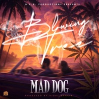 Blowing Tree - Single - Mad Dog