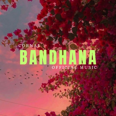 Bandhana - Single