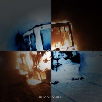 Everything You Want - Single - SVVVSH